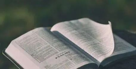 专利号前面的ZL是自己加上的吗?