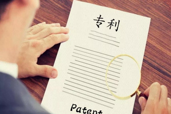 专利登记簿上居然写了这么多内容