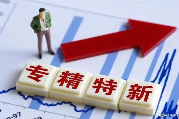 一图全懂！2022年“专精特新”政策精编