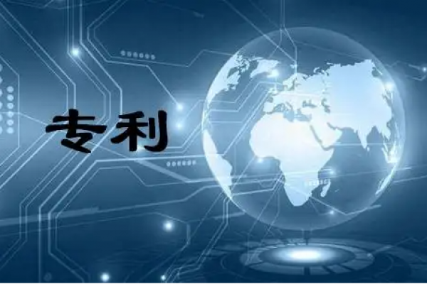 专利号的含义？