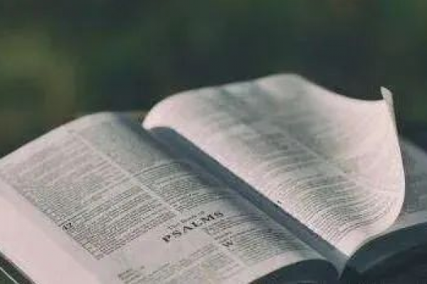 专利号前面的ZL是自己加上的吗?