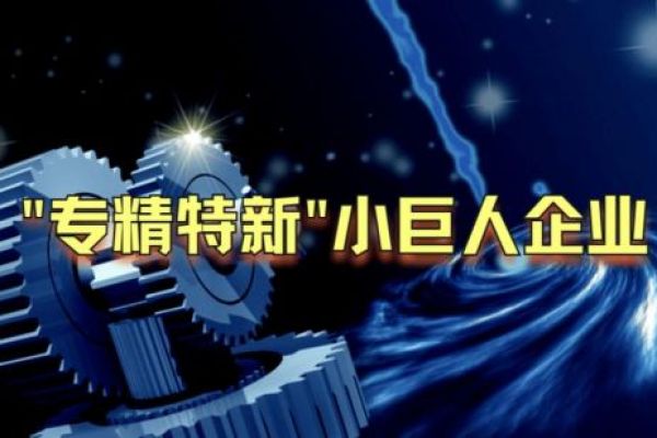省级财政 2022 年专精特新“小巨人”企业奖补资金安排计划的公示